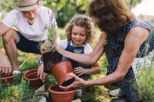 Grandparents gardening with their grandchild. 